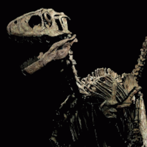 VoidDweller : Muldoons Clever Girls for Fucking Forever